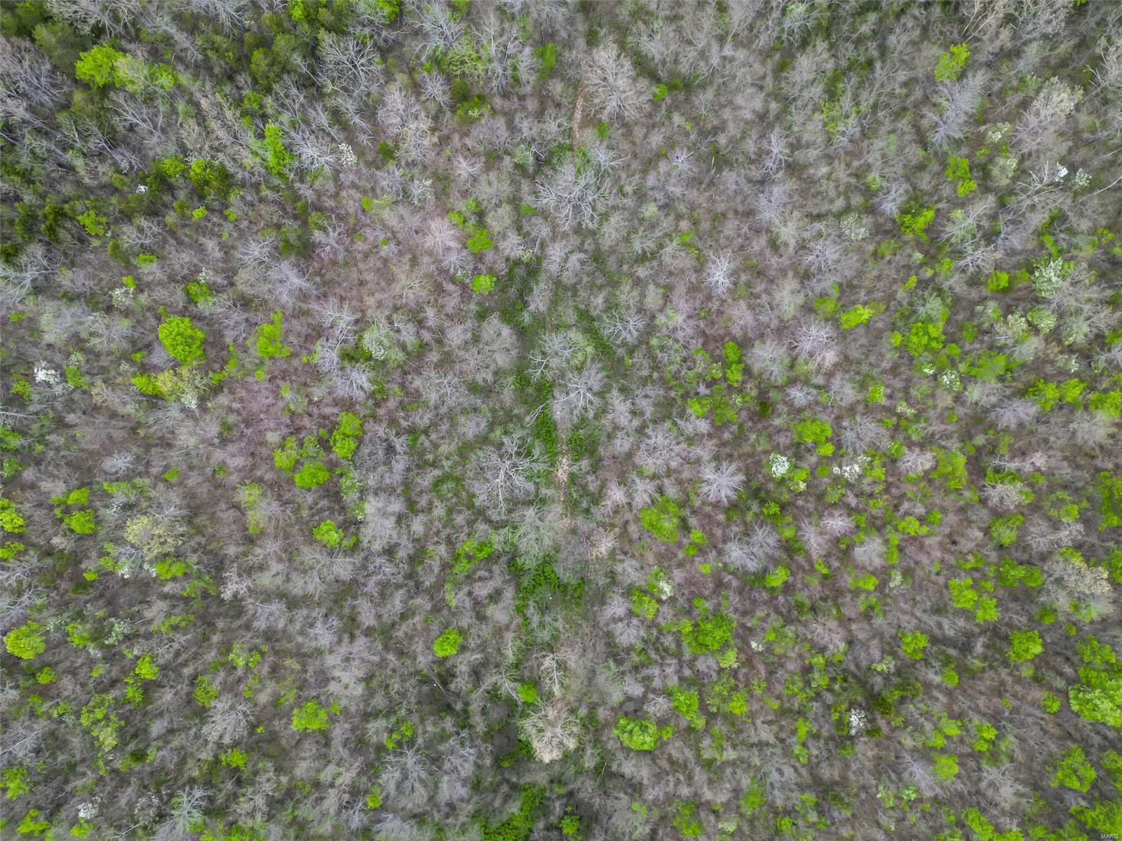 0 Creek Road Hartville, MO 65667 - Photo 2 of 7