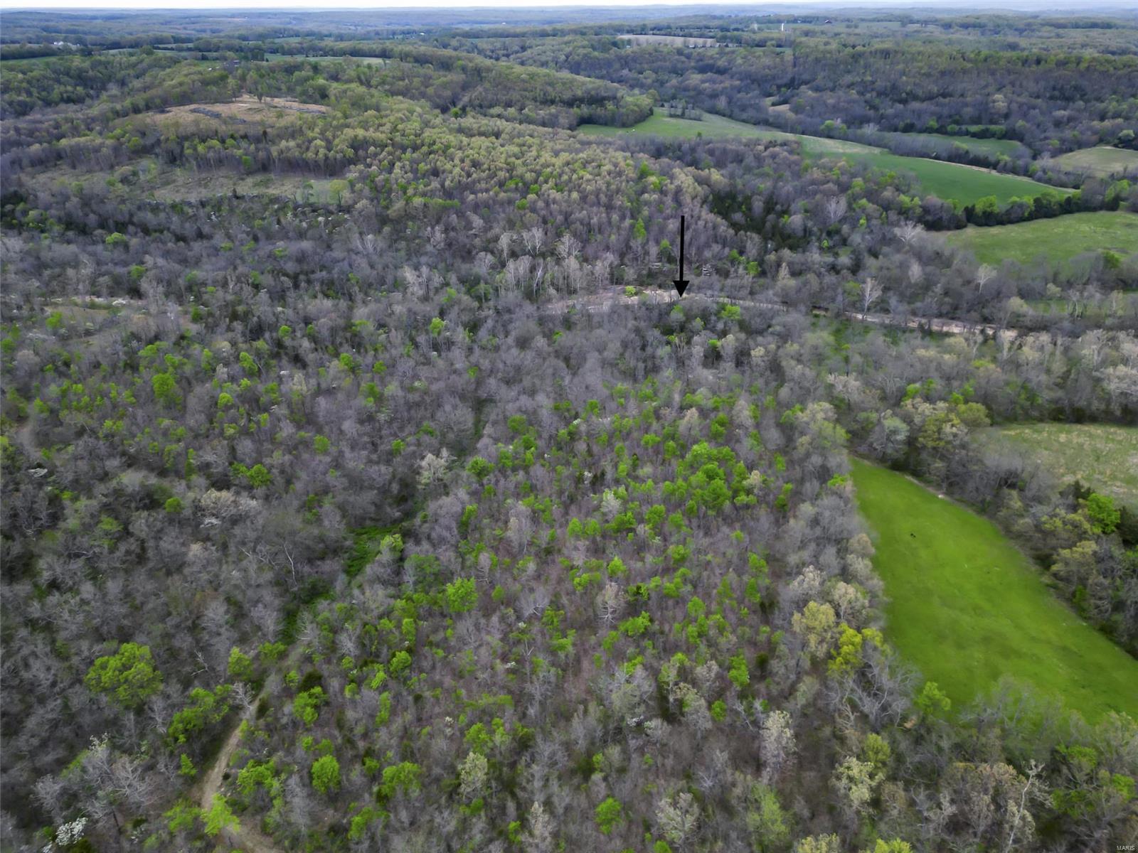 0 Creek Road Hartville, MO 65667 - Photo 3 of 7