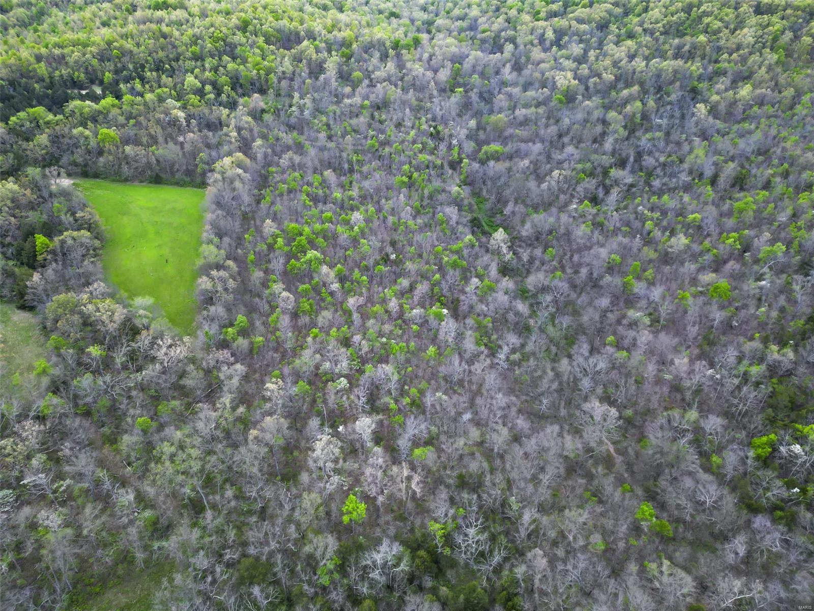 0 Creek Road Hartville, MO 65667 - Photo 5 of 7