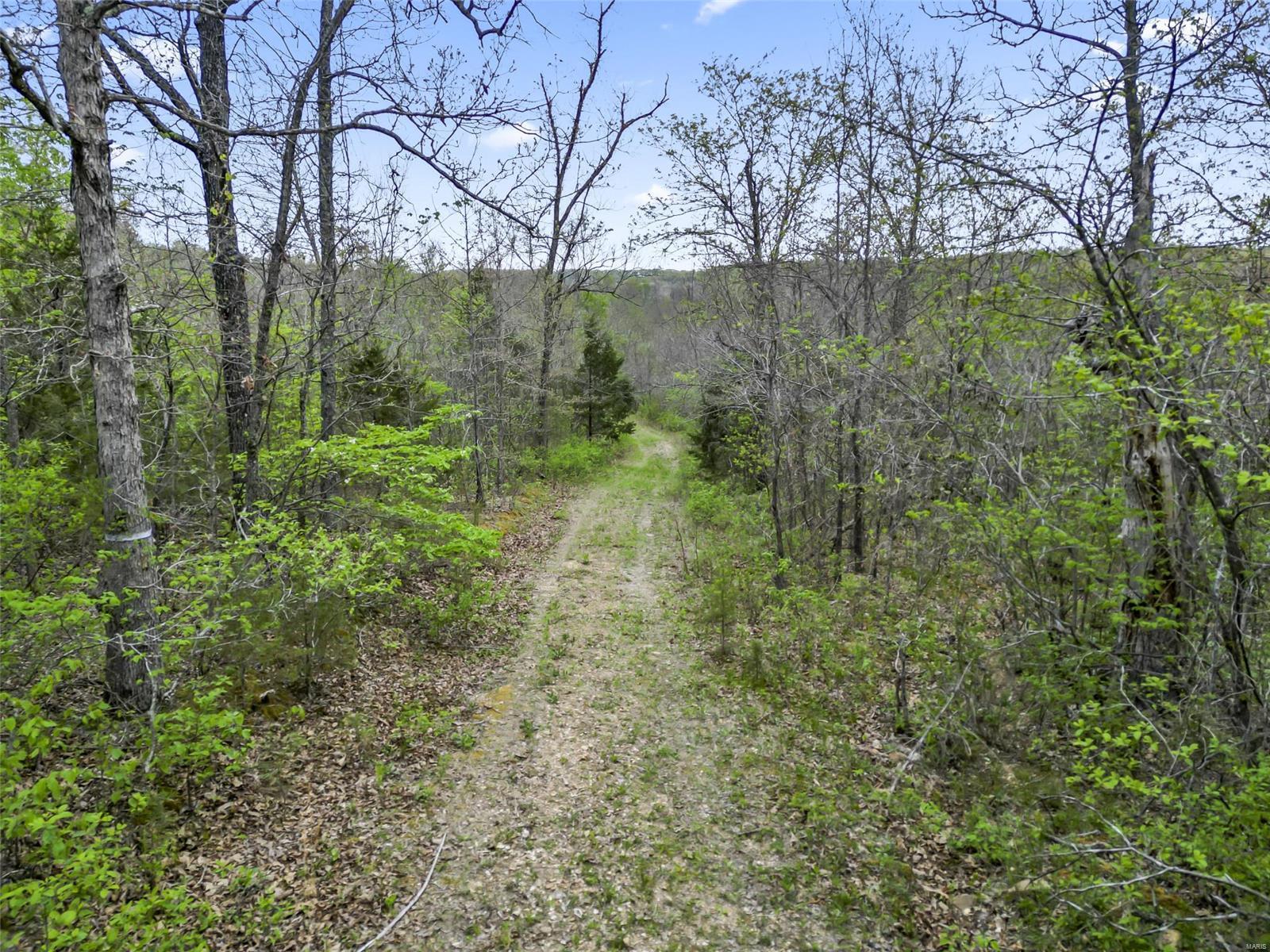 0 Creek Road Hartville, MO 65667 - Photo 6 of 7
