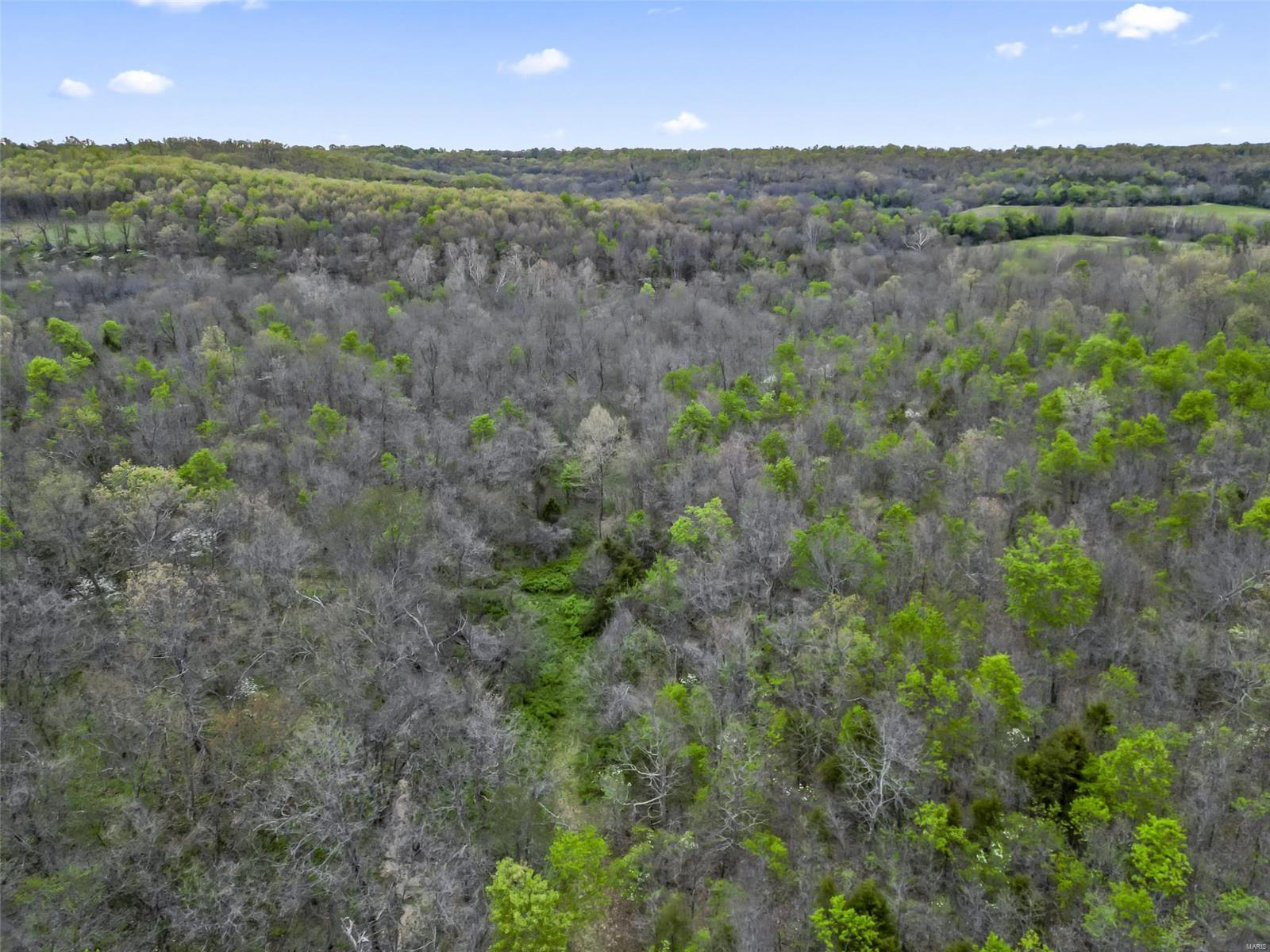 0 Creek Road Hartville, MO 65667 - Photo 7 of 7