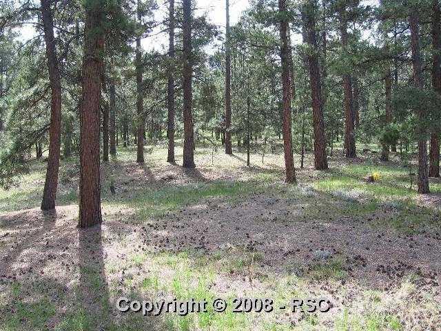 20220 Wissler Ranch Road Colorado Springs, CO 80908 - Photo 4 of 8