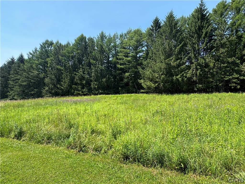 1 Bonney Hill Road Hamilton, NY 13346 - Photo 14 of 17