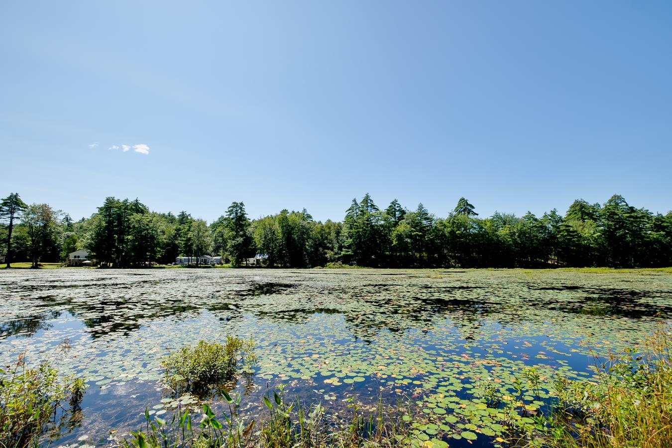 3229 Province Lake Road Wakefield, NH 03830 - Photo 27 of 36 Gallery Image 27