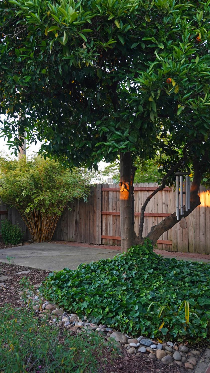 1719 West Locust Street Lodi, CA 95242 - Photo 17 of 18