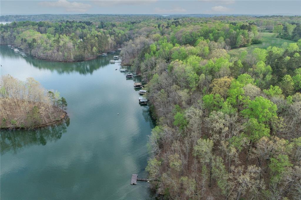 5325 Browns Bridge Road Cumming, GA 30041 - Photo 11 of 13 a view of a lake with a yard and mountain view