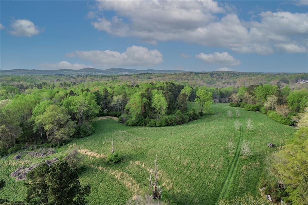 5325 Browns Bridge Road Cumming, GA 30041 - Photo 10 of 13 a view of a green field with lots of green space