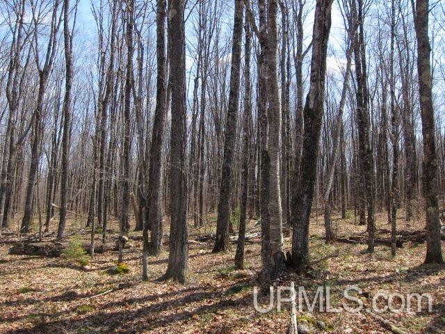 Four 4 Corners Road Crystal Falls, MI 49920 - Photo 3 of 17