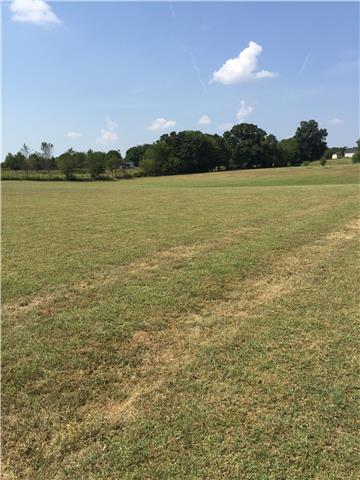 1041 Long Shot Drive Springfield, TN 37172 - Photo 18 of 18 LEVEL ACREAGE