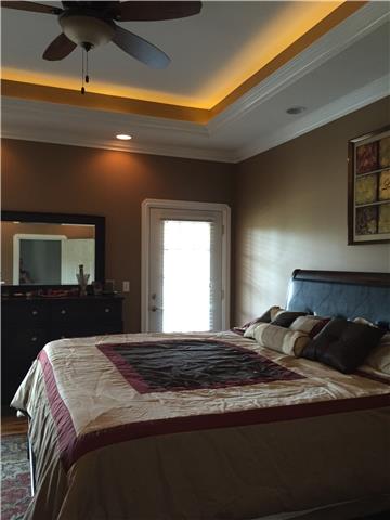 1041 Long Shot Drive Springfield, TN 37172 - Photo 8 of 18 MASTER BEDROOM WITH TREY CEILING