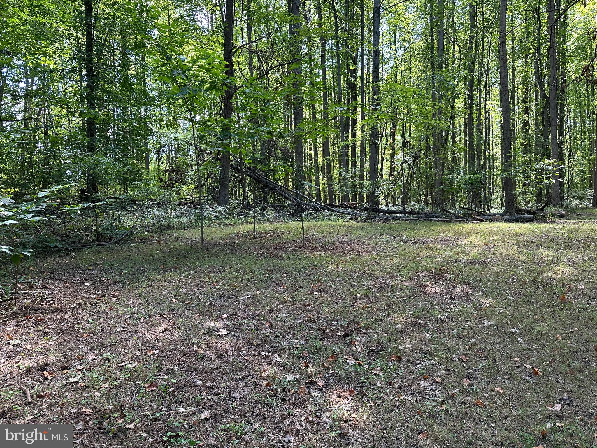 1504 Cogar Road Bowie, MD 20716 - Photo 2 of 2 a view of outdoor space with trees
