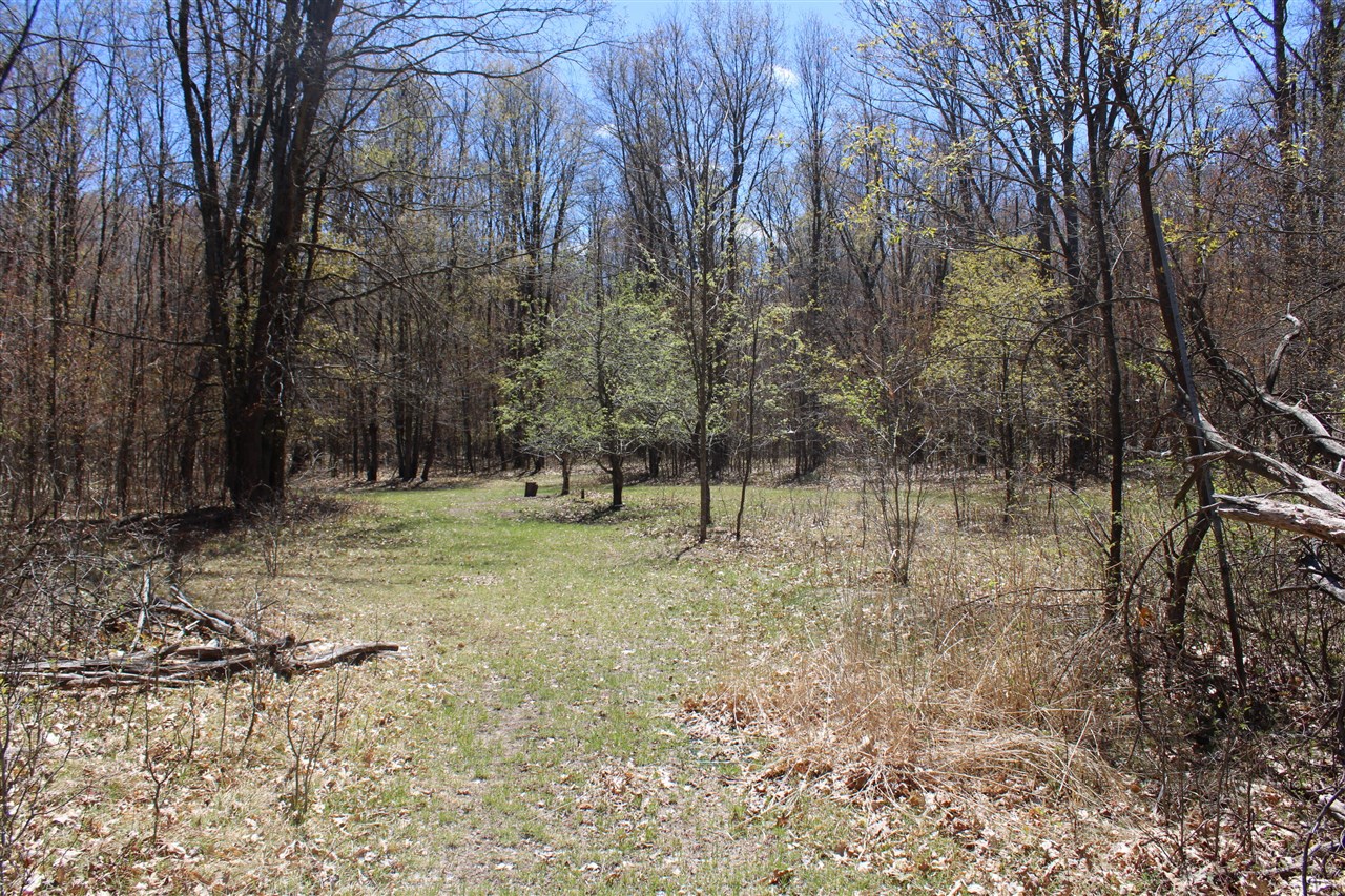 11401 Little George Lake Road Gladwin, MI 48624 - Photo 46 of 72