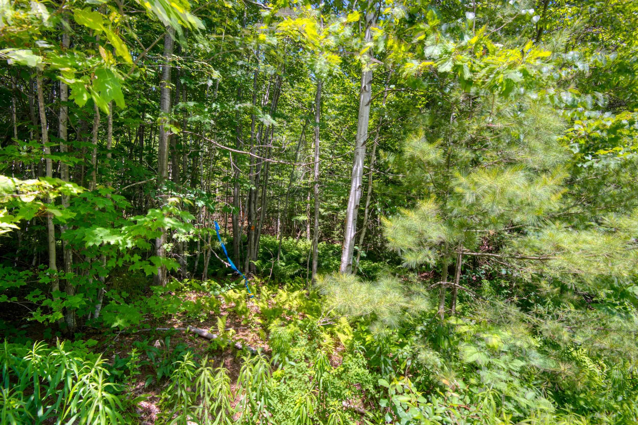 A9 Stanton Farm Road, Unit A9 Glen, NH 03838 - Photo 5 of 15 Gallery Image 5