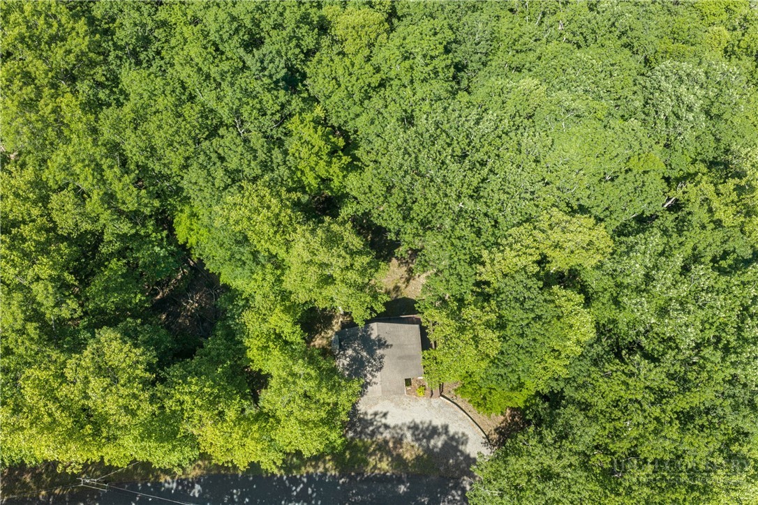 467 Horseshoe Ridge Road East Deep Gap, NC 28618 - Photo 32 of 46 a picture of a tree
