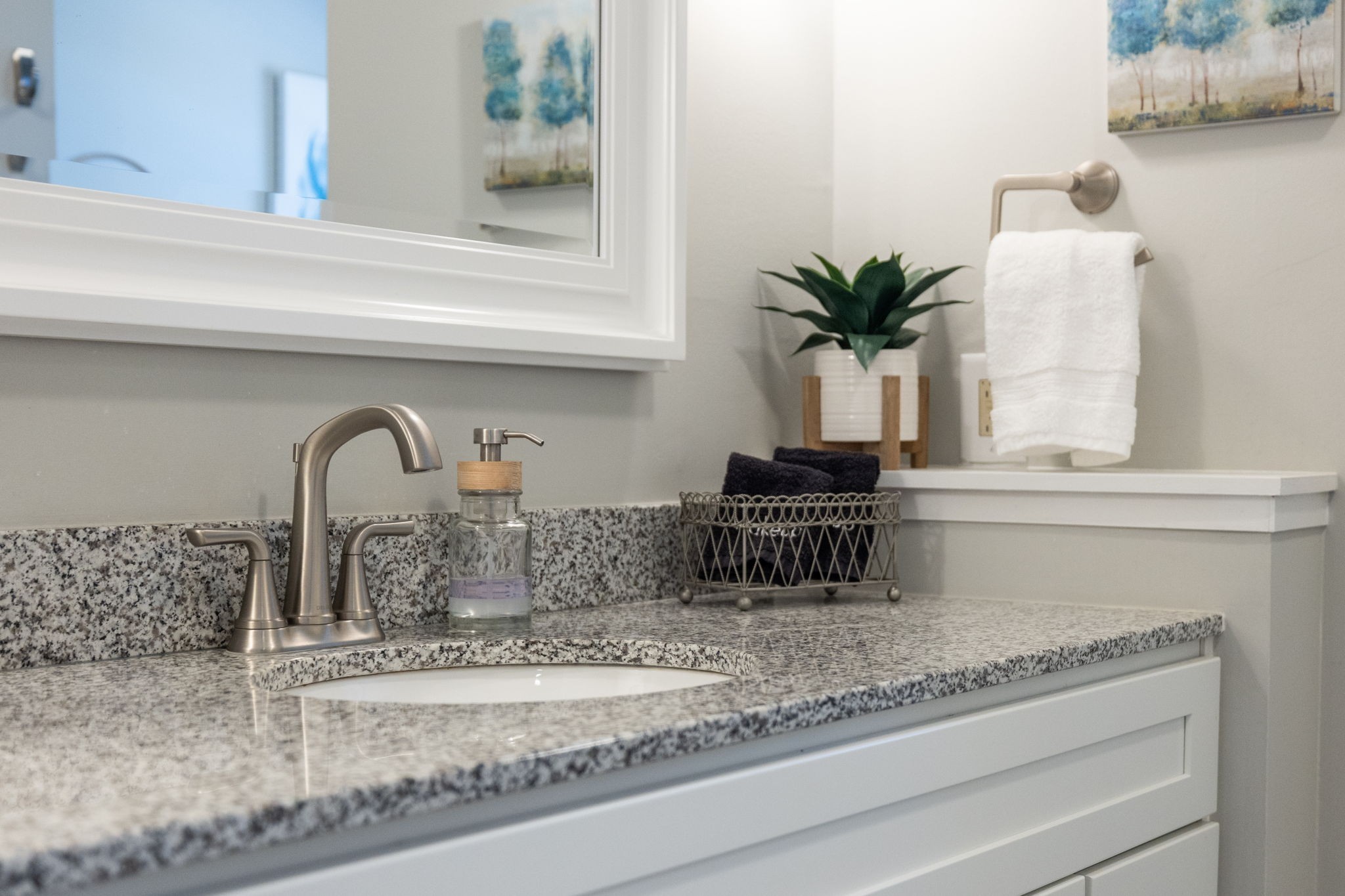 1755 Mc Bride Road Lewisburg, TN 37091 - Photo 39 of 59 a kitchen with sink and a potted plant
