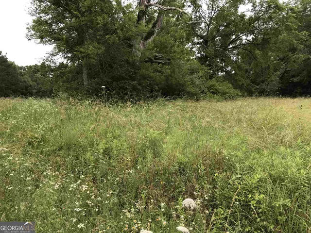 $200,000 | 0 Horseshoe Loop, Adairsville, GA 30103