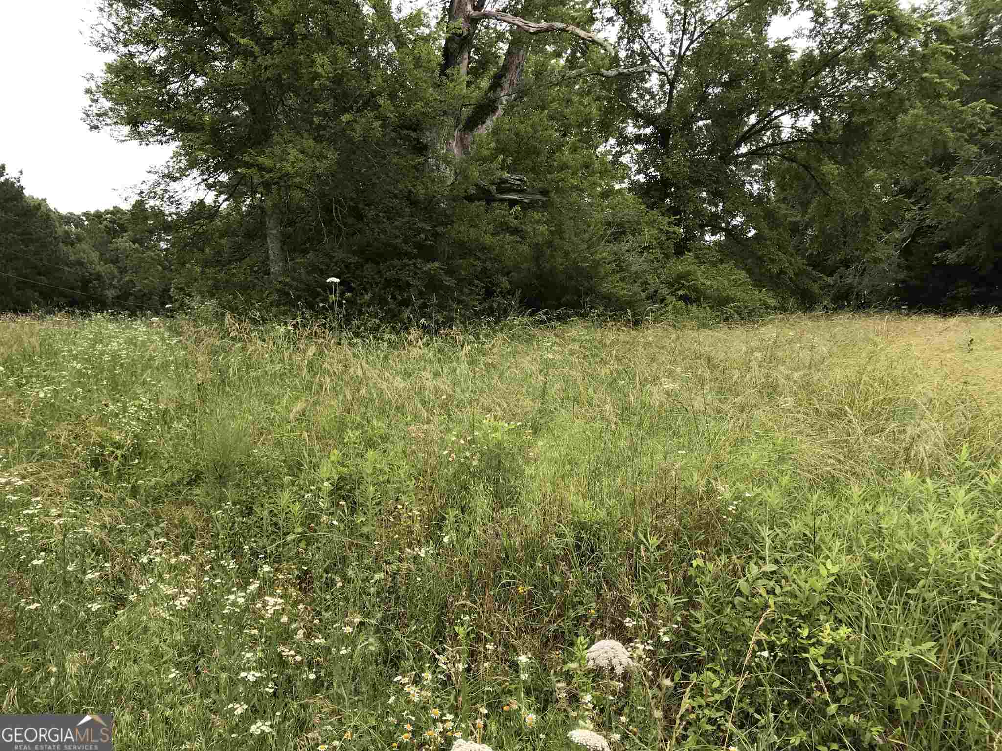 0 Horseshoe Loop Adairsville, GA 30103 - Photo 2 of 3