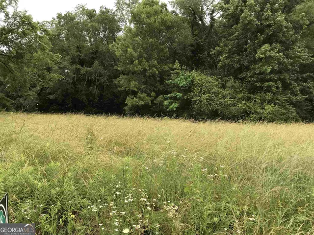 $200,000 | 0 Horseshoe Loop, Adairsville, GA 30103