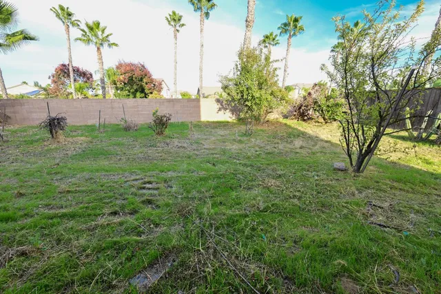 a view of outdoor space with deck and yard