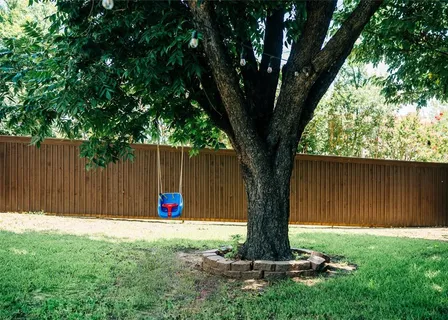 a view of a tree with a yard