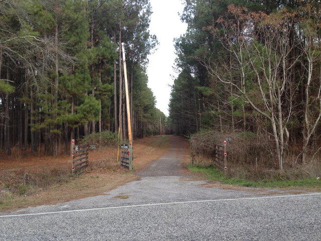 9675 Raccoon Road Manning, SC 29102 - Photo 1 of 1