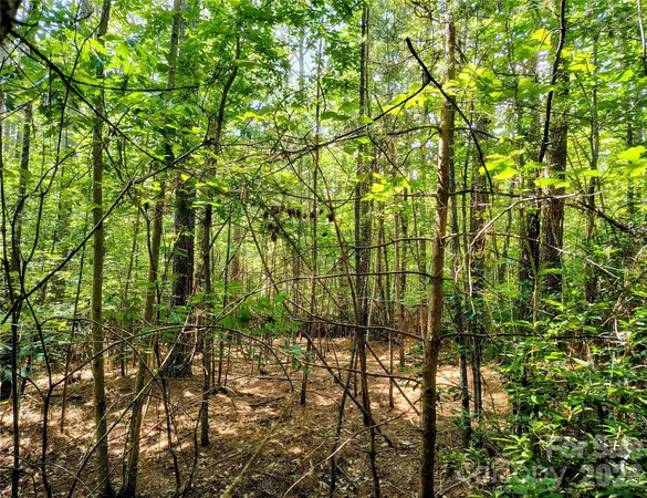$49,995 | 210 Harbor Ridge Drive, Connelly Springs, NC 28612