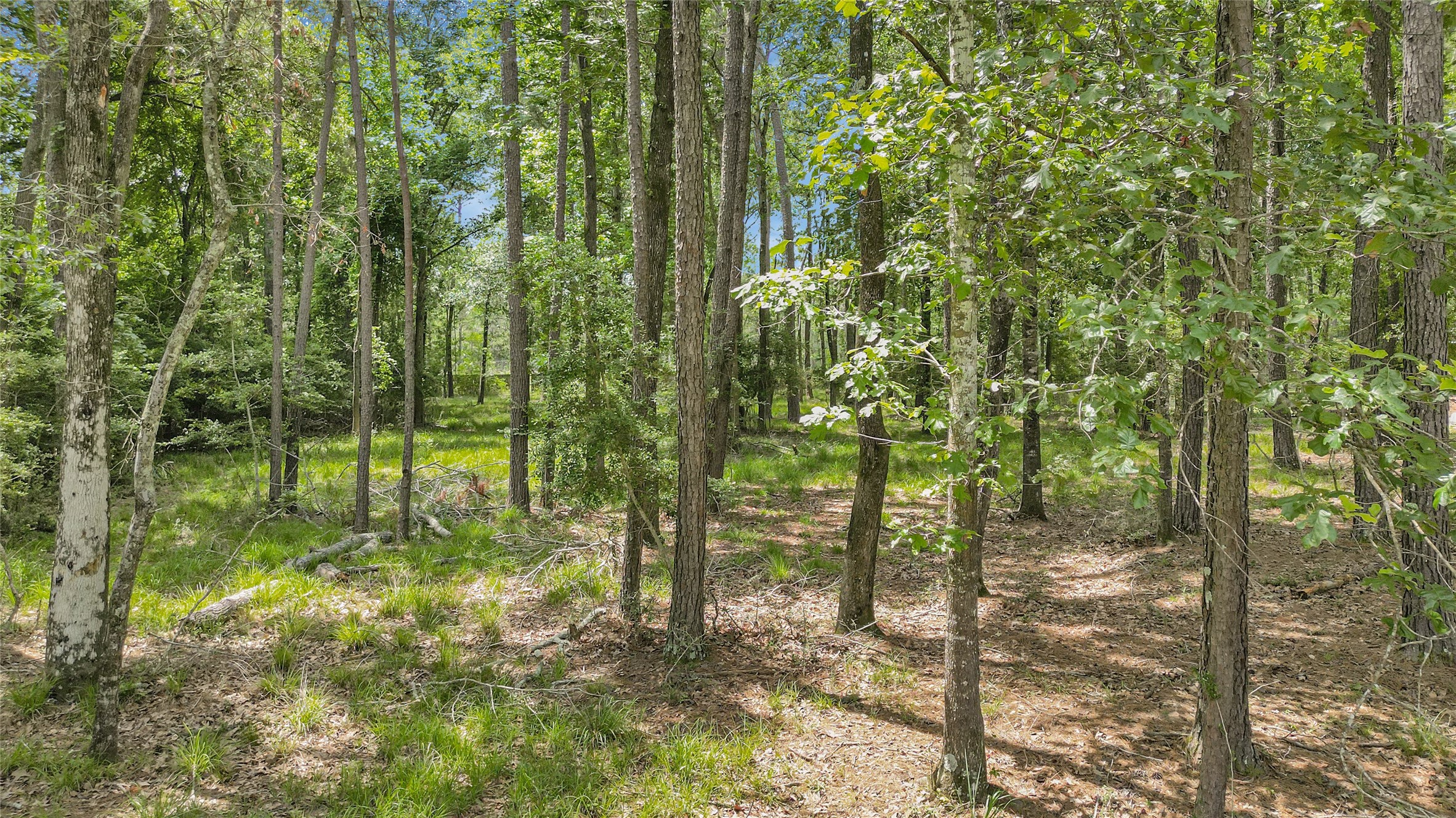 1030 South Commons View Drive Houston, TX 77336 - Photo 6 of 14 View from beyond the fencing