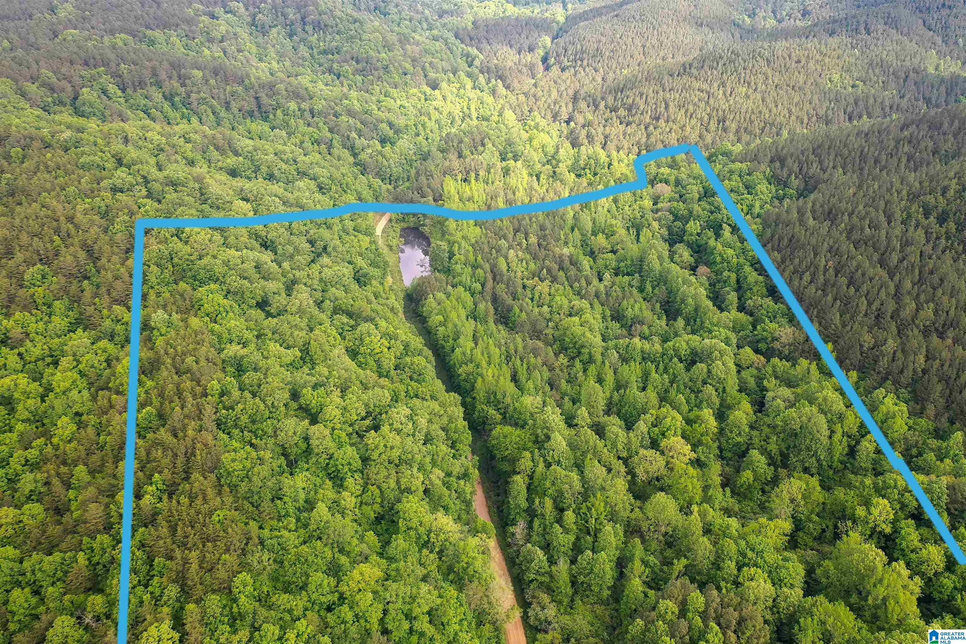 0 Wolf Creek Road Carbon Hill, AL 35549 - Photo 14 of 29