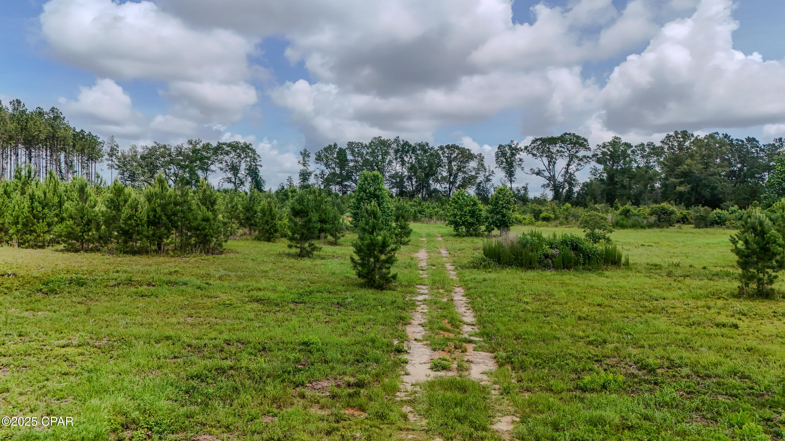 0 Wilderness Road Caryville, FL 32427 - Photo 4 of 16