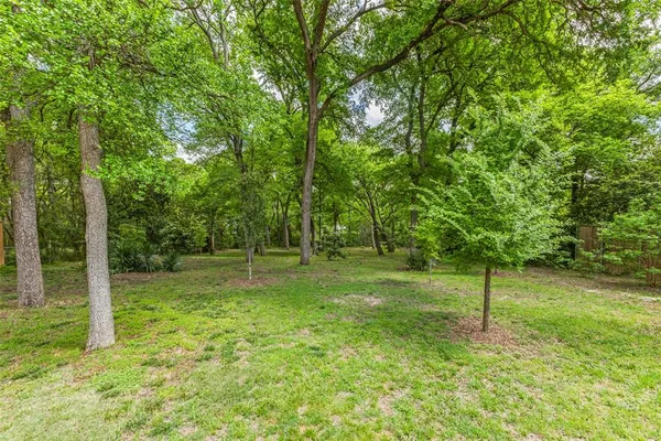a view of a tree in a yard