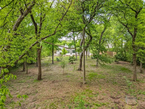 a view of a tree in the middle of a yard