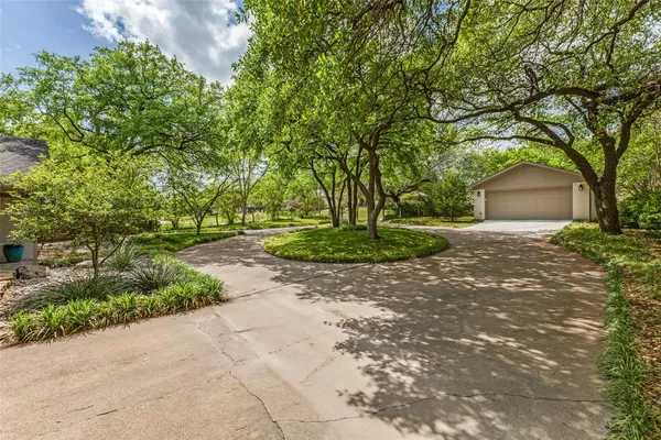 a view of a tree in the middle of a yard