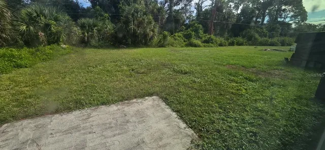 a view of a yard with a tree
