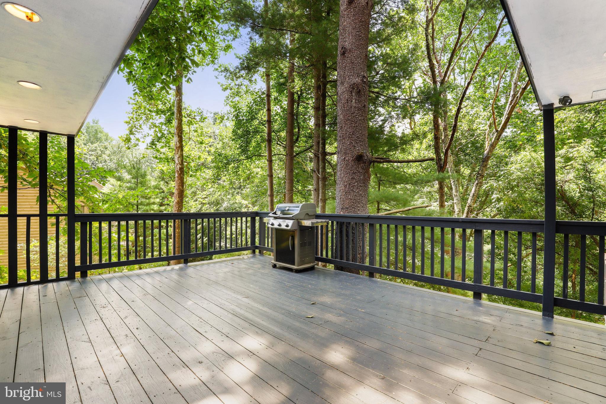 6784 Balmoral Ridge New Market, MD 21774 - Photo 47 of 54 Gallery Image 47