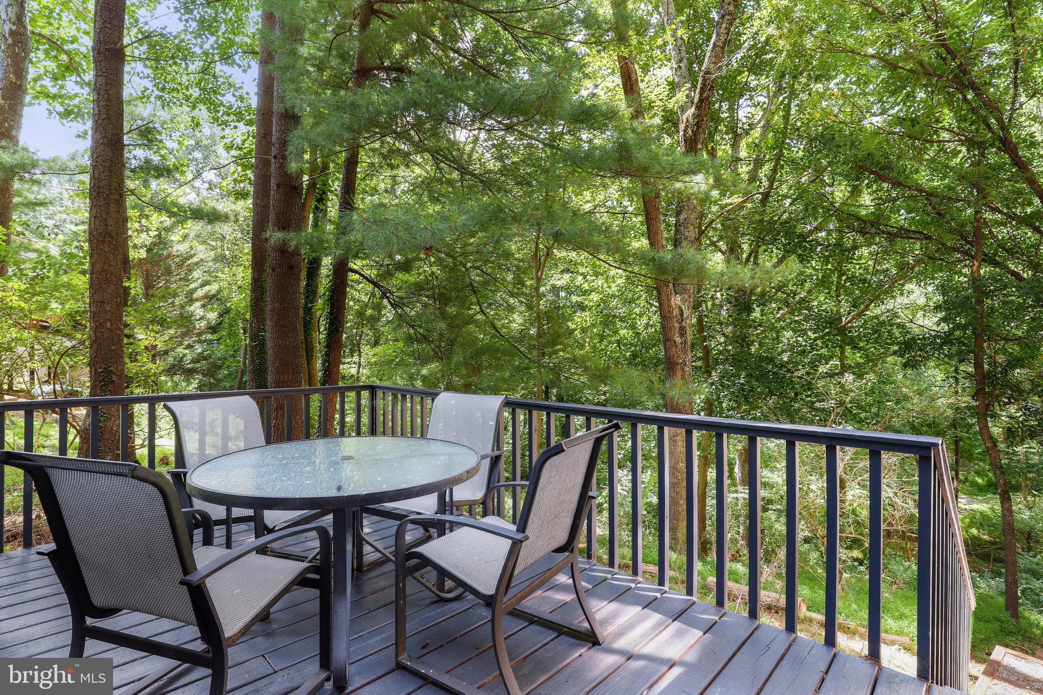 6784 Balmoral Ridge New Market, MD 21774 - Photo 49 of 54 Gallery Image 49