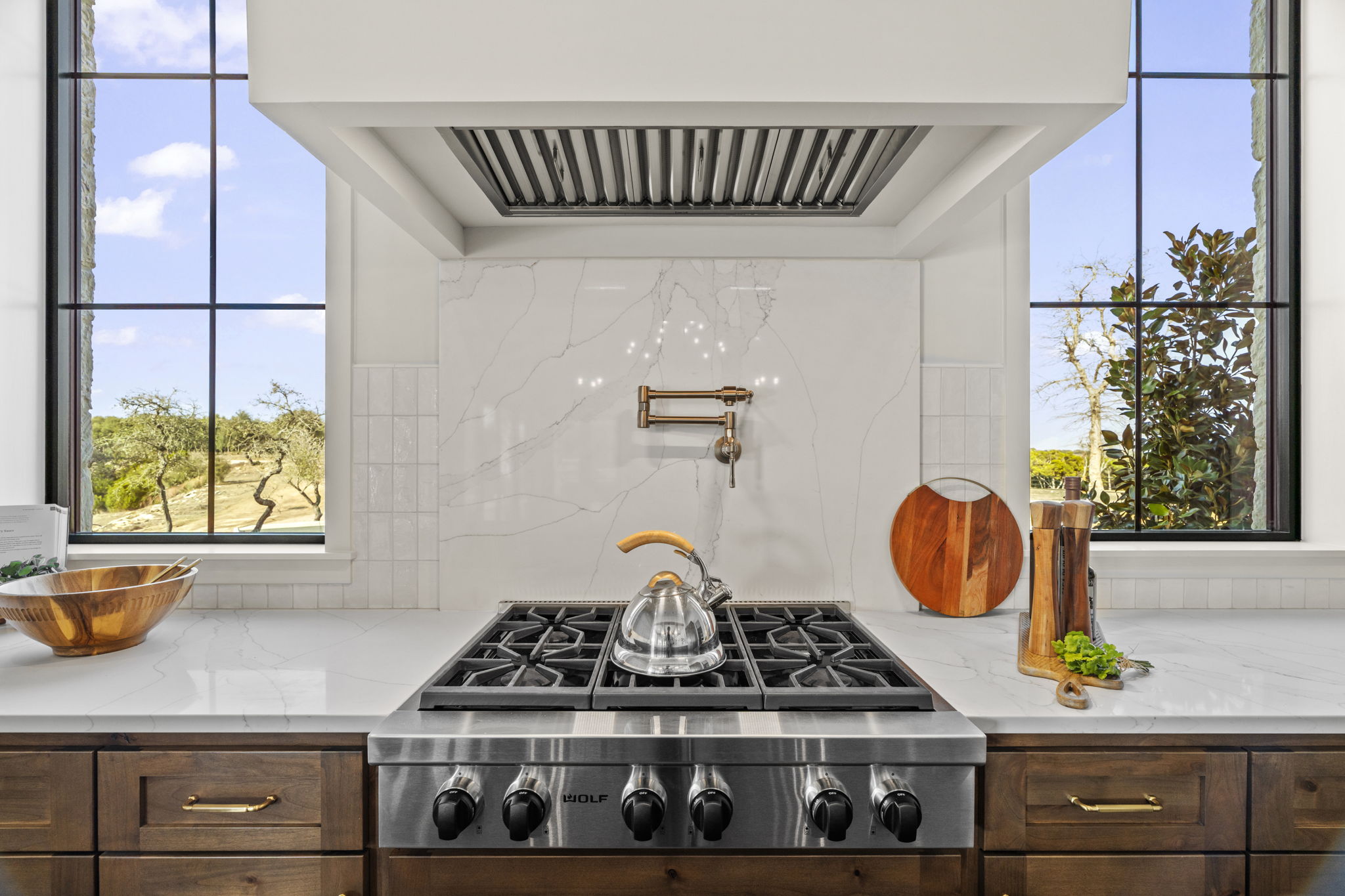 1562 Canyon Crossing View Dripping Springs, TX 78620 - Photo 10 of 40 a close view of stove
