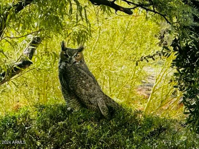 $1,200,000 | 28217 North 139th Street, Scottsdale, AZ 85262