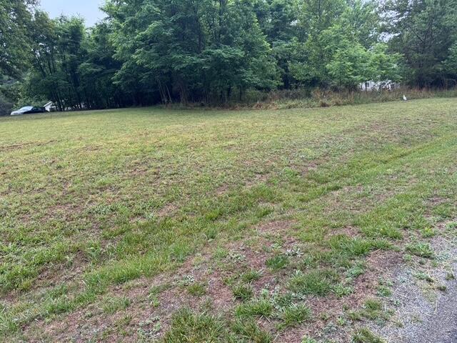 0 Fork Mountain Road Rocky Mount, VA 24151 - Photo 3 of 8 a view of a yard with trees