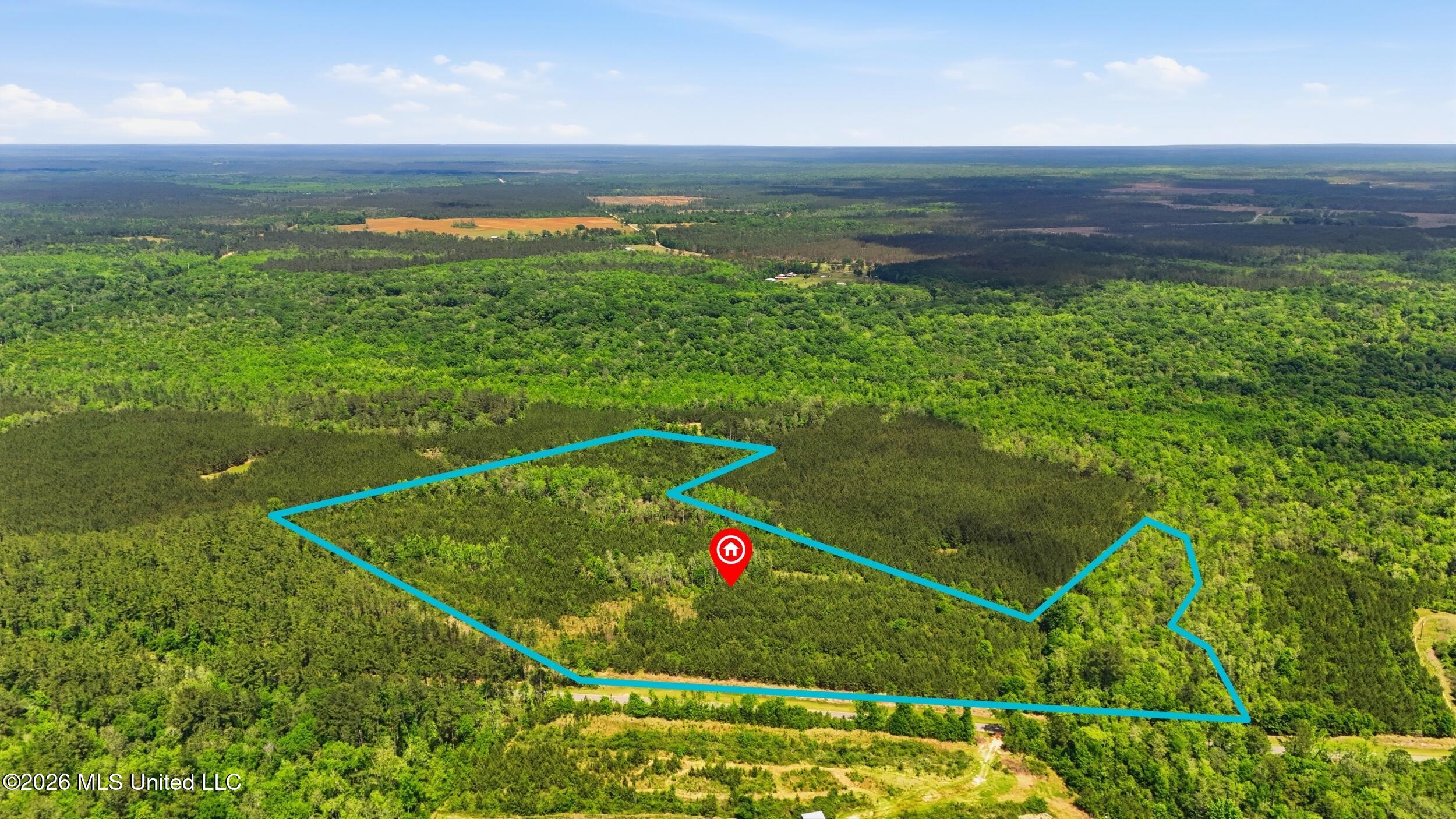 Vestry Road Perkinston, MS 39573 - Photo 3 of 35 dji_20260416134817_0602_d_lotlines