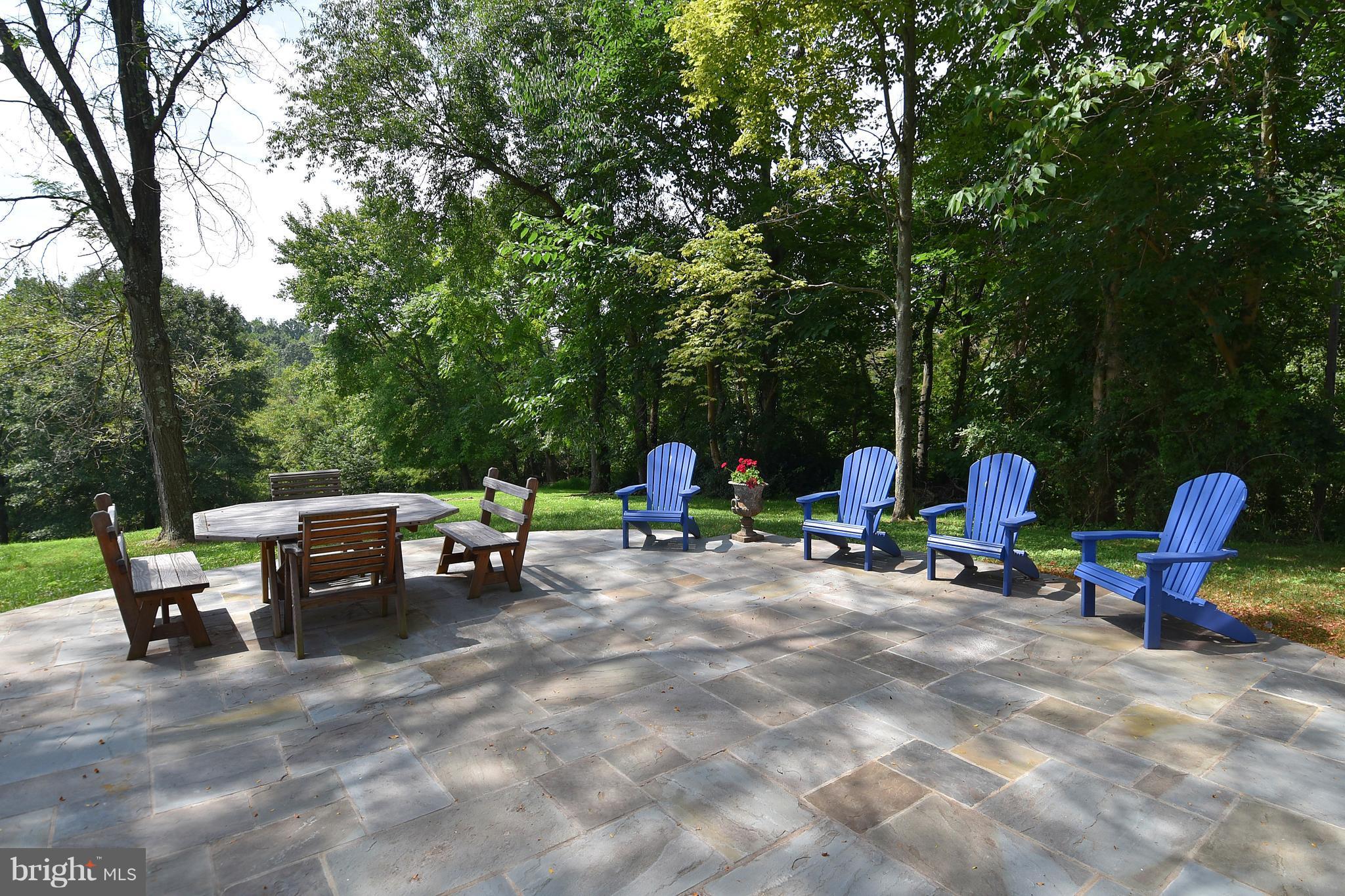 20046 St Louis Road Purcellville, VA 20132 - Photo 27 of 30 a view of a patio with table and chairs and a barbeque with potted plants and large trees
