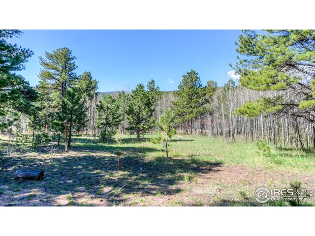 $225,000 | 87 Sundance Circle, Nederland, CO 80466