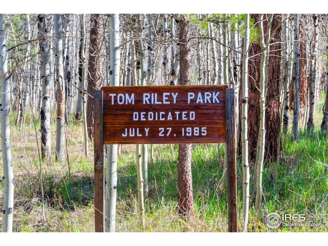 $225,000 | 87 Sundance Circle, Nederland, CO 80466