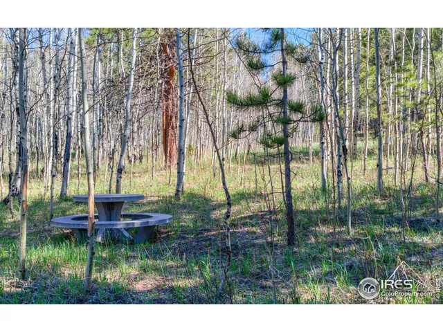 $225,000 | 87 Sundance Circle, Nederland, CO 80466