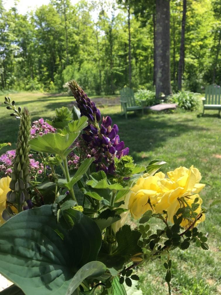 766 Barker Road New Vineyard, ME 04956 - Photo 42 of 47 Yard