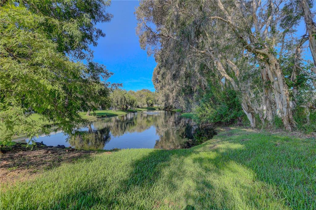 864 Lake Haven Road Dunedin, FL 34698 - Photo 22 of 28 a view of a lake with a house in the background