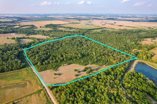 $331,501 | 3550 County Road 3550, Honey Grove, TX 75446