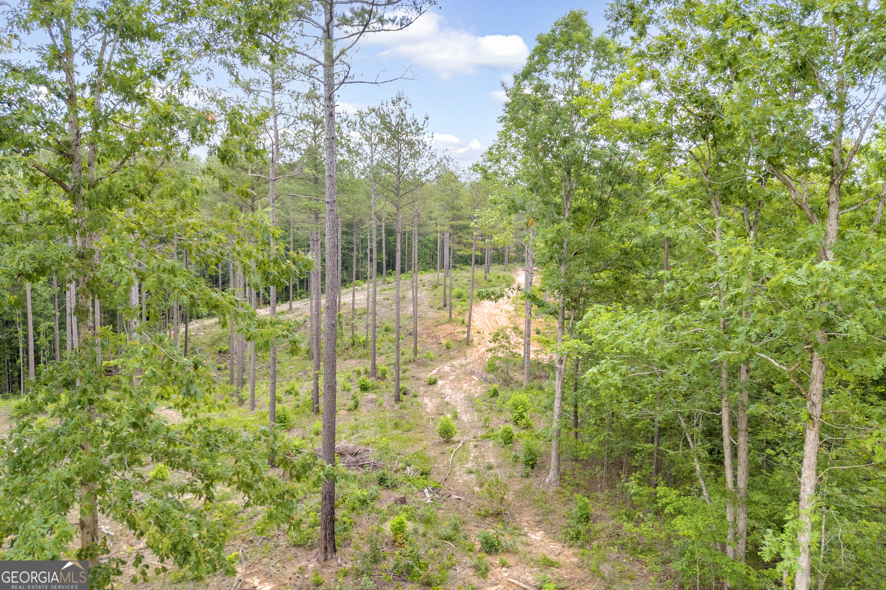 0 Mt Sinai Road, Unit LOT 1 Lula, GA 30554 - Photo 27 of 67