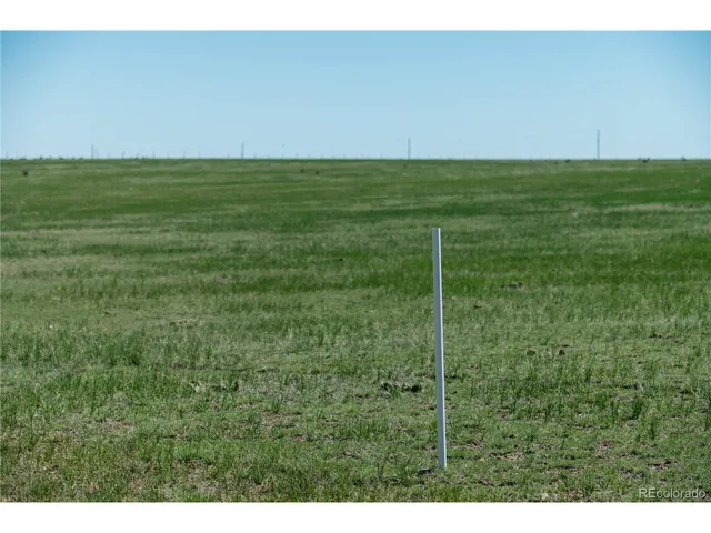 a black and white photo of a lake
