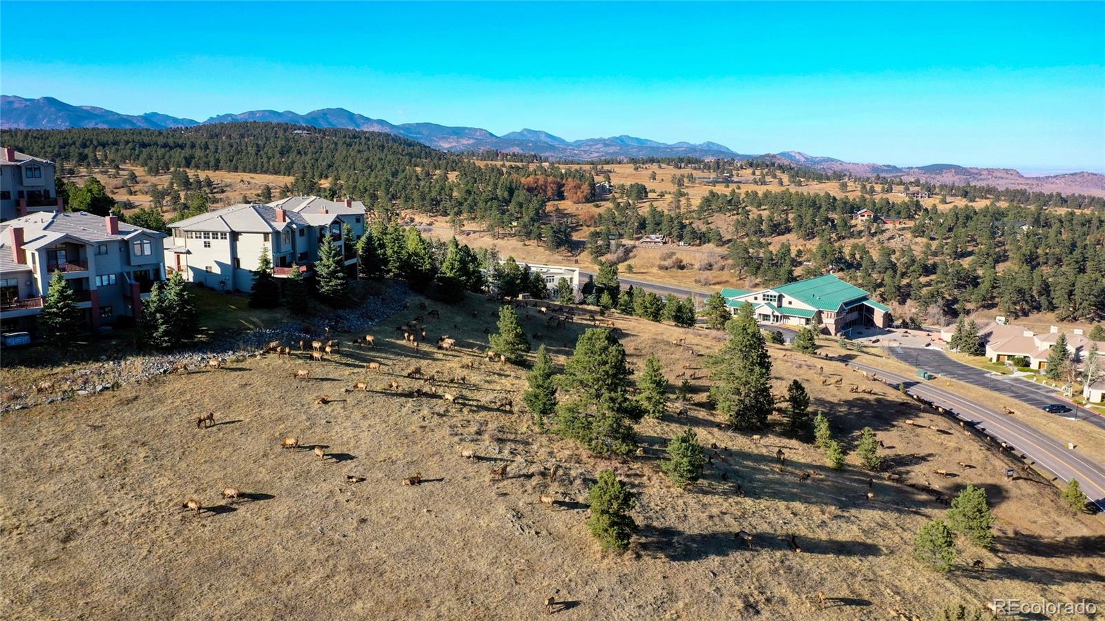 722 Ridgeside Drive Golden, CO 80401 - Photo 46 of 50