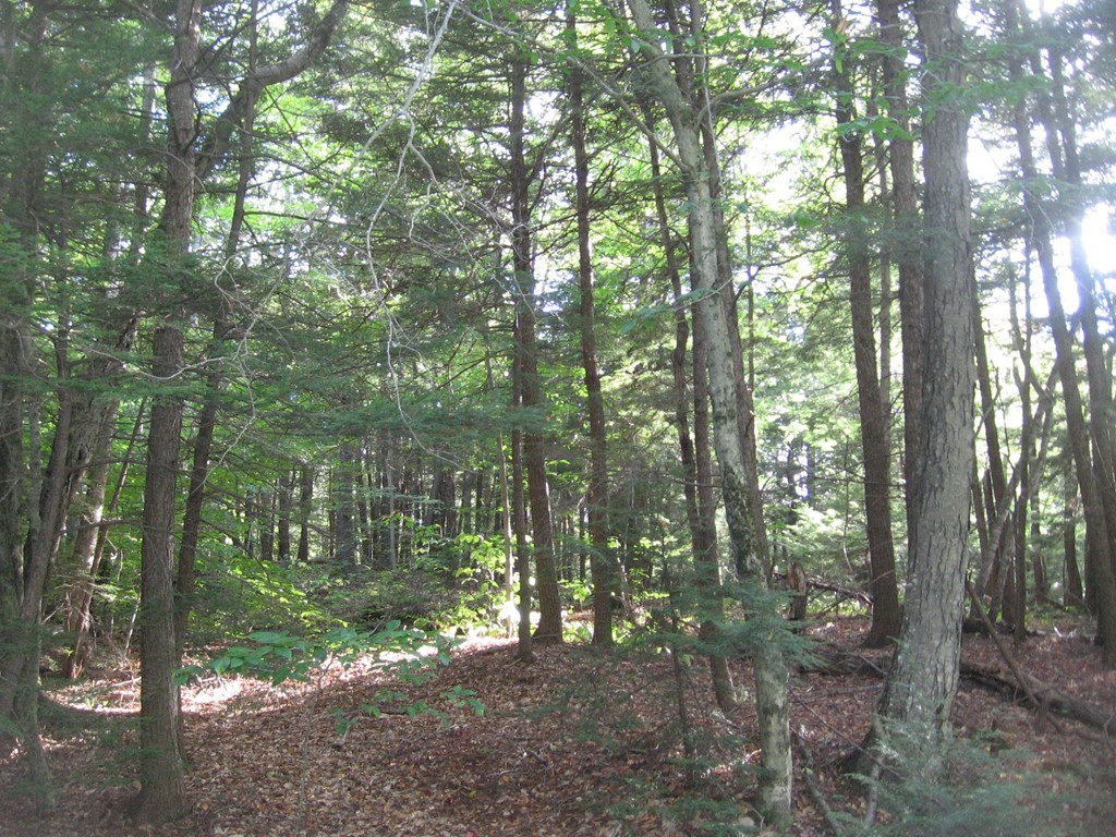 Lot 4 Sam Hill Road Worthington, MA 01098 - Photo 1 of 6 Gallery Image 1